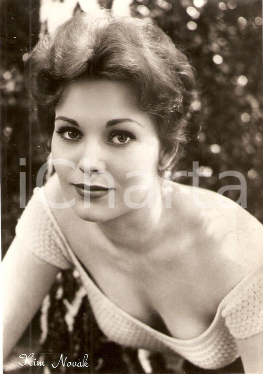 1950 ca CINEMA Actress Kim NOVAK Portrait *Cartolina FG NV