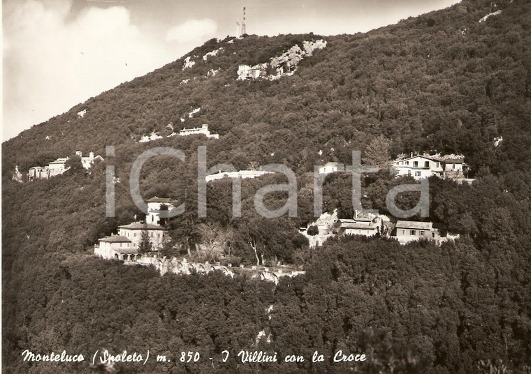 1950 ca SPOLETO Frazione MONTELUCO (PG) Villini con la croce *Cartolina FG NV