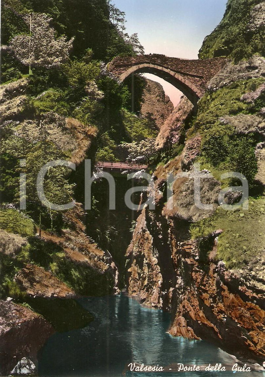 1950 ca VARALLO (VC) Ponte della GULA su torrente MASTALLONE Valsesia *Cartolina