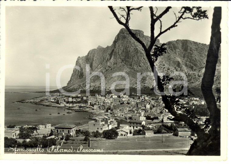 1955 SFERRICAVALLO (PA) Panorama della città *Cartolina postale FG VG