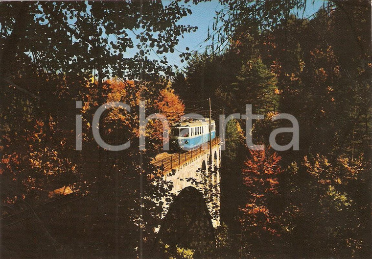 1980 ca VALLE VIGEZZO Ferrovia DOMODOSSOLA - LOCARNO Panorama Cartolina FG NV