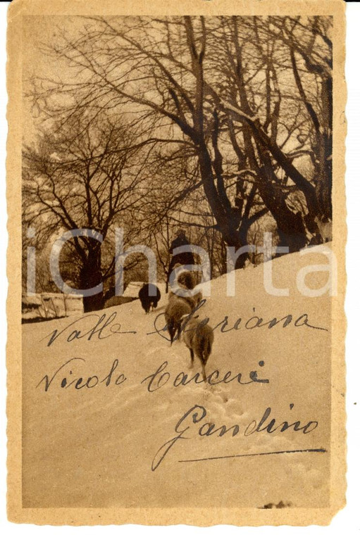 1937 VALLE SERIANA GANDINO (BG) Panorama innevato *Cartolina DANNEGGIATA