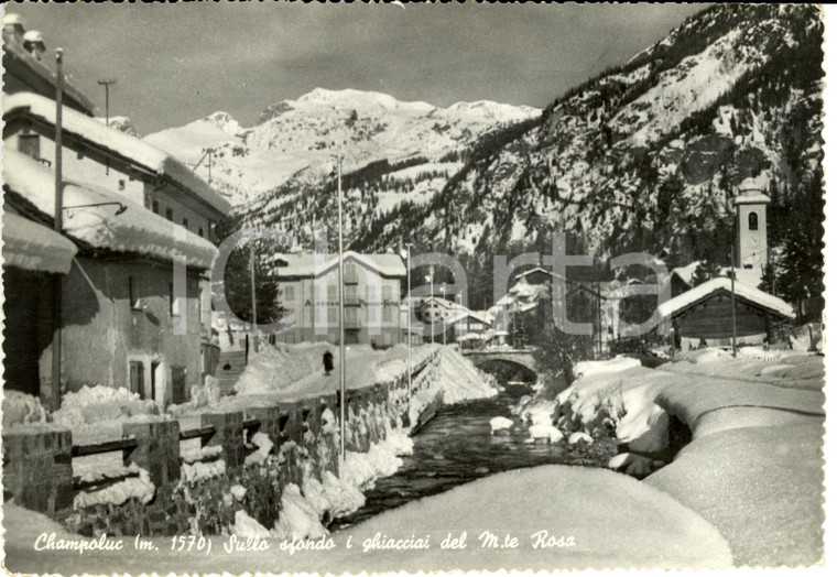 1956 CHAMPOLUC (AO) Sullo sfondo i ghiacciai del Monte Rosa *Cartolina FG VG