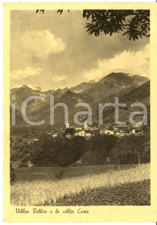 1950 VILLAR PELLICE (TO) Panorama con Alpi Cozie *Cartolina postale FG VG