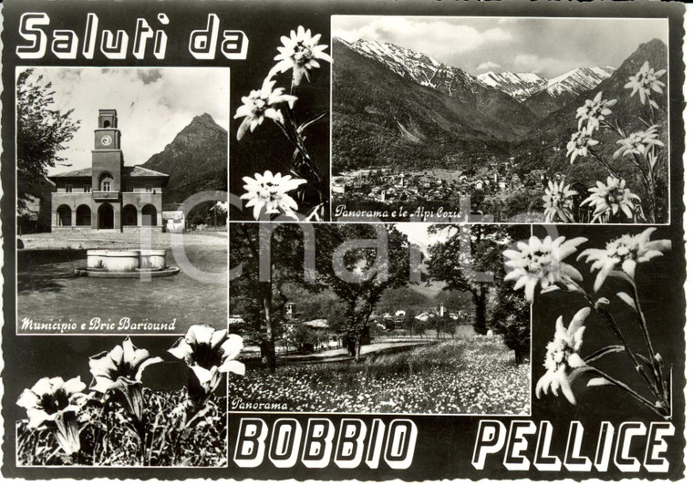 1959 BOBBIO PELLICE (TO) Vedutine del paese *Cartolina FG VG