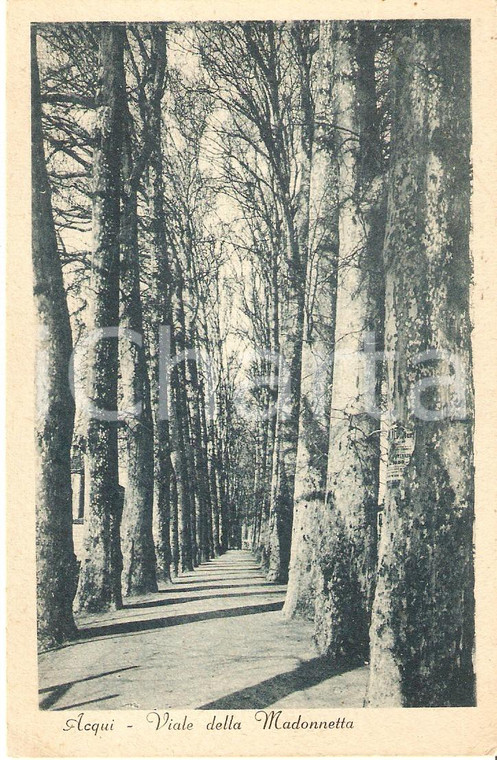 1935 ca ACQUI TERME (AL) Viale della Madonnetta *Cartolina FP NV