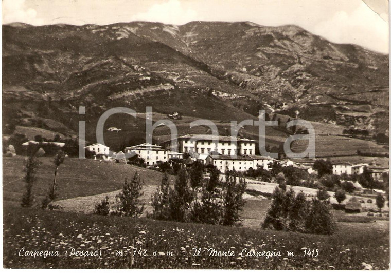 1955 CARPEGNA (PU) Panorama MONTE CARPEGNA Cartolina FG VG