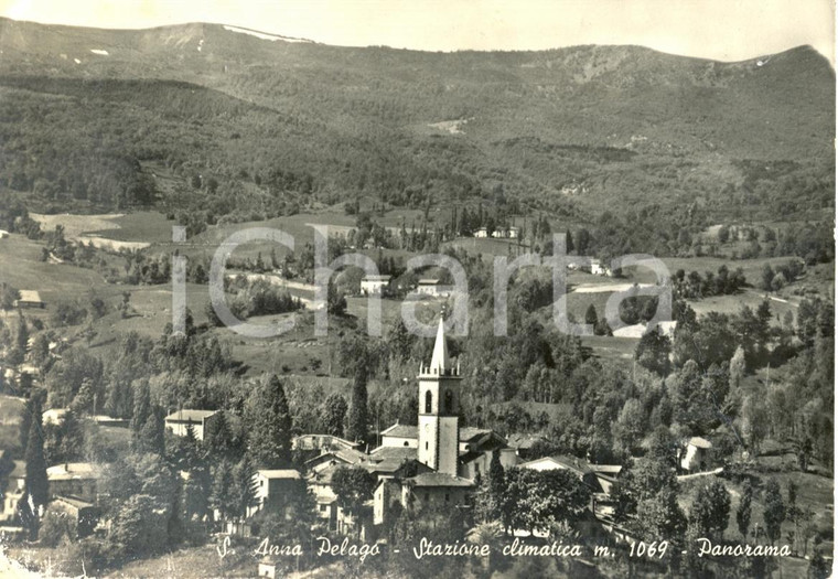 1964 SANT'ANNA PELAGO (MO) Stazione climatica - Panorama *Cartolina FG VG