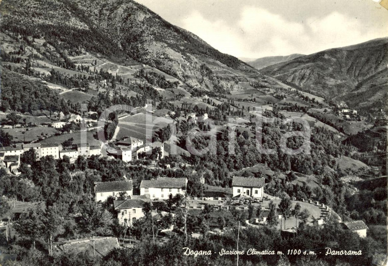 1952 DOGANA (MO) Stazione climatica - Panorama *Cartolina postale FG VG