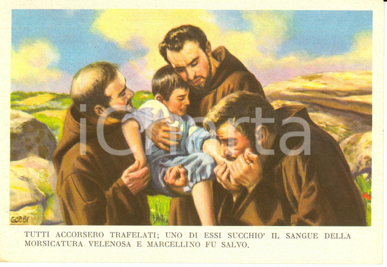 1955 ca MARCELLINO PANE E VINO ill. Dario Gobbi MARCELLINO E IL MORSO VELENOSO
