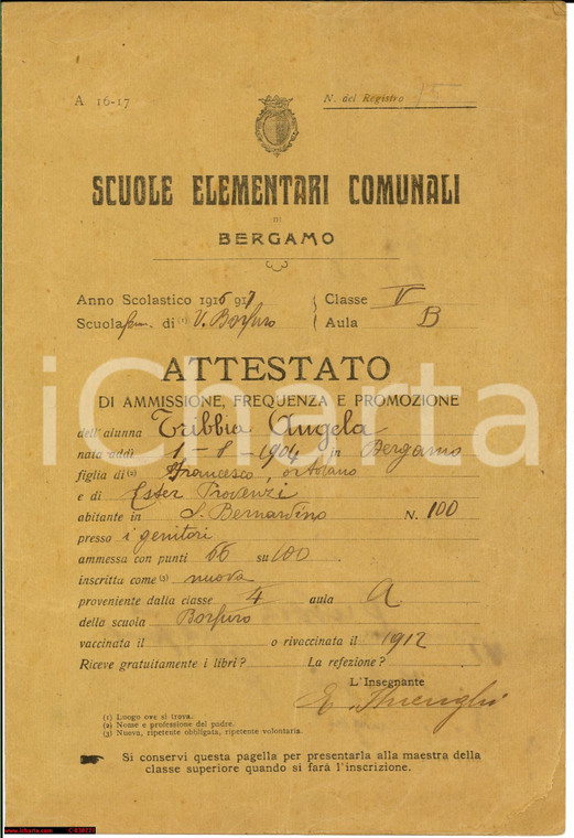 1917 BERGAMO BORFURO Pagella elementare Angela TRIBBIA