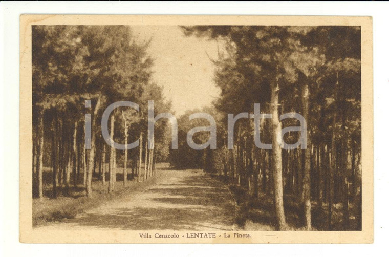 1934 Lentate sul Seveso *Villa Cenacolo, la pineta