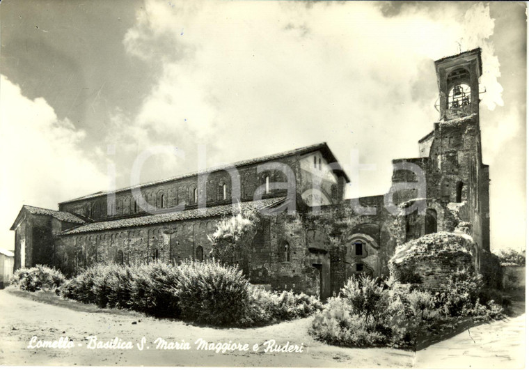1959 LOMELLO (PV) Basilica di Santa MARIA MAGGIORE e ruderi *Cartolina FG VG
