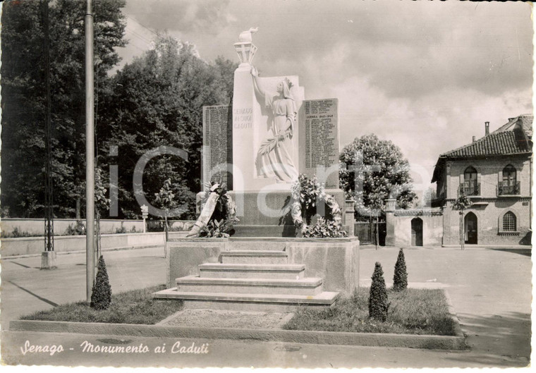 1953 SENAGO (MI) Il monumento ai caduti *Cartolina FG VG