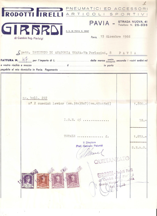 1966 PAVIA Pneumatici e articoli sportivi PIRELLI Ferramenta GIRARDI *Fattura