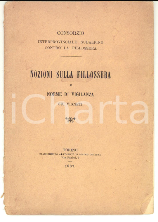 1887 TORINO Nozioni sulla filossera e norme di vigilanza sui vigneti Ed. CELANZA