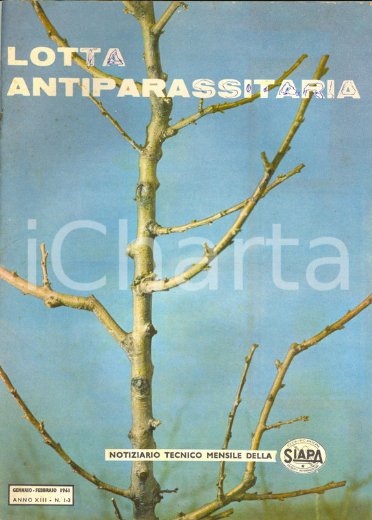 1961 ROMA LOTTA ANTIPARASSITARIA Legge 870 norme fitosanitarie *Anno XIII n°1-2