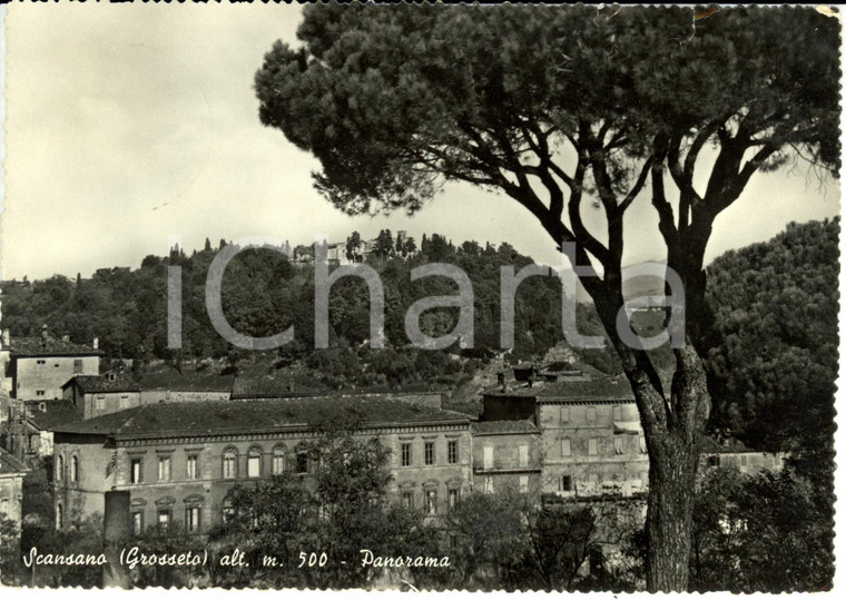 1957 SCANSANO (GR) Panorama con CASTELLO di MONTEPO' *Cartolina FG VG