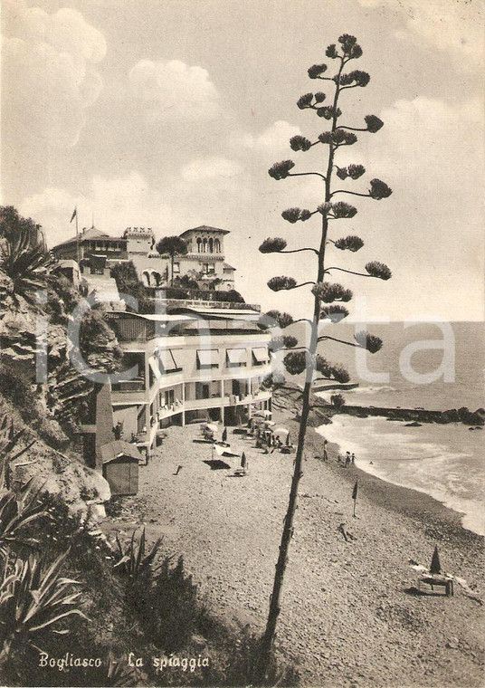 1957 BOGLIASCO (GE) Panorama della spiaggia ANIMATA *Cartolina FG VG
