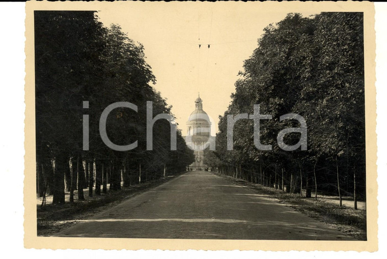 1950 CARAVAGGIO (BG) Viale del Santuario della Beata Vergine *Foto 16x12
