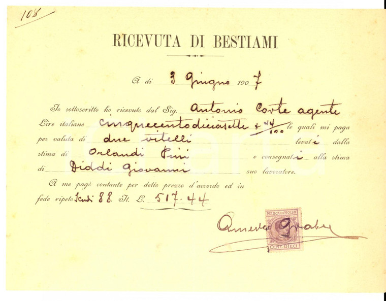 1907 AREA FIORENTINA Ricevuta di bestiami consegnati a Giovanni DIDDI