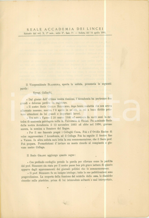 1901 ACCADEMIA LINCEI In morte Giulio BIZZOZERO padre istologia *Pubblicazione 1