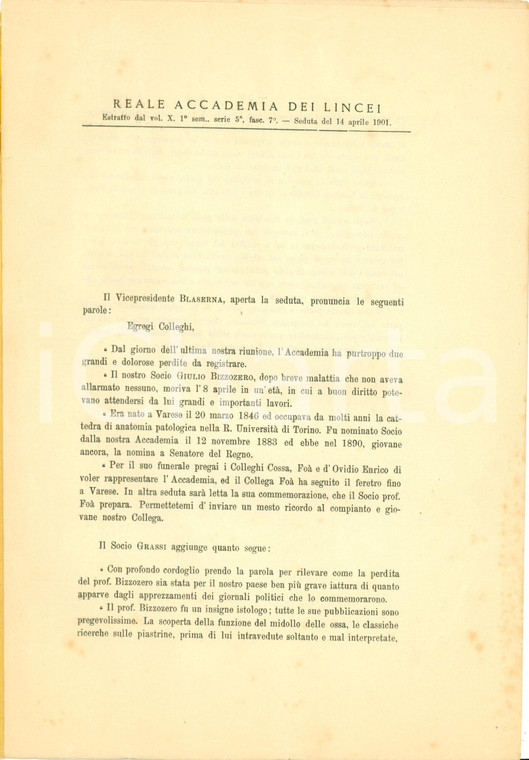 1901 ACCADEMIA LINCEI In morte Giulio BIZZOZERO padre istologia *Pubblicazione 3