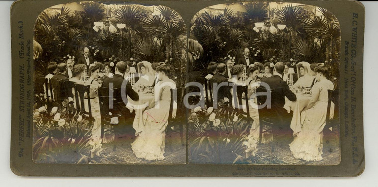 1903 USA The Wedding Breakfast - Stereoscopy WHITE CO.