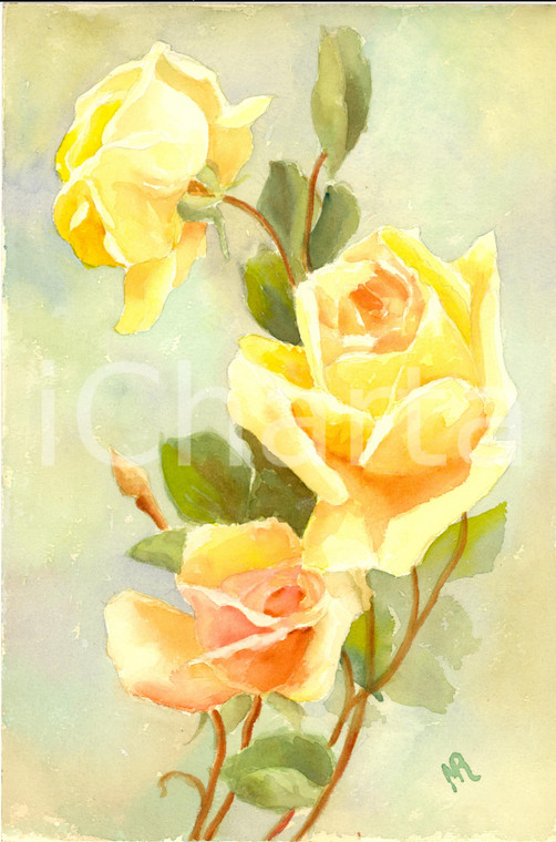 1940 ca Disegno originale GIANNA RONCHI Le rose gialle *Tempera
