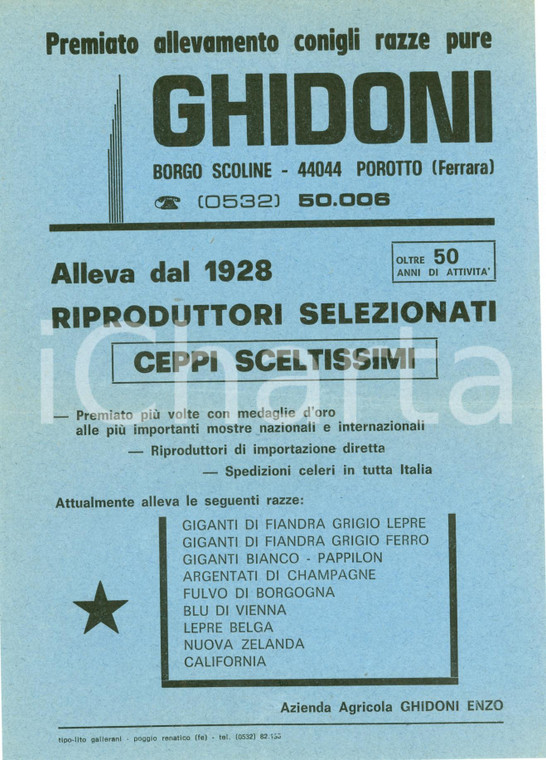 1960 FERRARA Allevamento conigli POROTTO Enzo GHIDONI