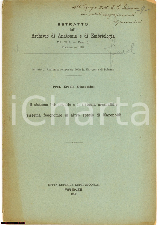 1909 ERCOLE GIACOMINI Feocromo Murenoidi DEDICA AUTOGR