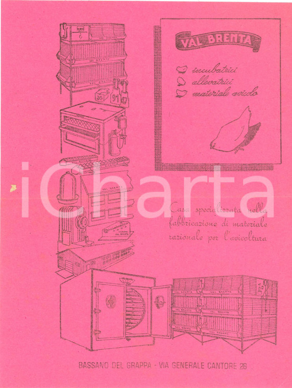 1955 ca BASSANO DEL GRAPPA (VI) Industrie avicole VAL BRENTA sono una garanzia