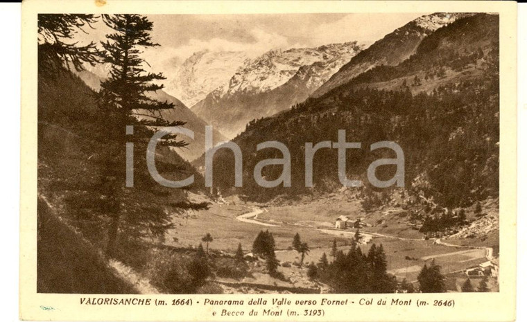 1930 ca VALGRISANCHE (AO) Panorama verso FORNET - COL DU MONT *Cartolina