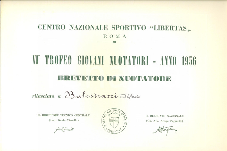 1956 ROMA Centro sportivo Libertas Trofeo nuotatori Brevetto Alfredo BALESTRAZZI