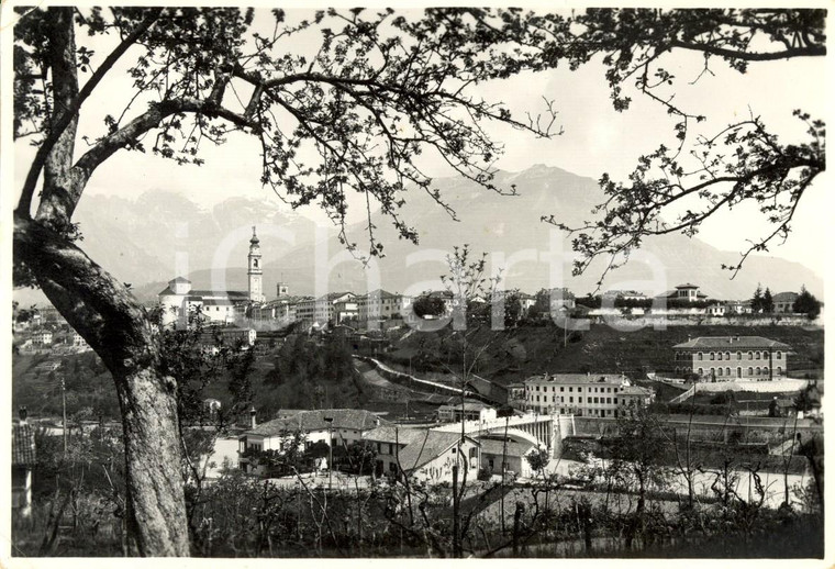 1949 BELLUNO Veduta panoramica della città con il Ponte della VITTORIA *FG VG