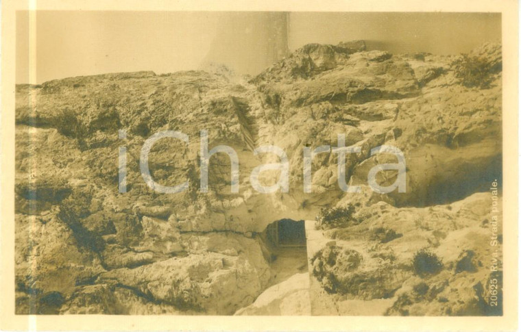 1930 ca RIVA DEL GARDA (TN) Veduta della strada del PONALE *Cartolina postale FP