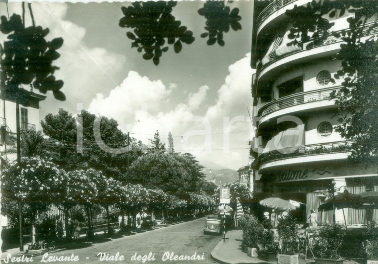 1955 ca SESTRI LEVANTE (GE) Bar Tritone in Viale degli Oleandri *Cartolina FG NV