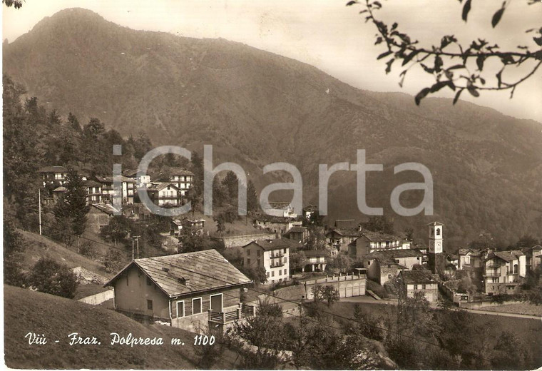 1955 ca VIU' (TO) Frazione POLPRESA Panorama *Cartolina FG VG