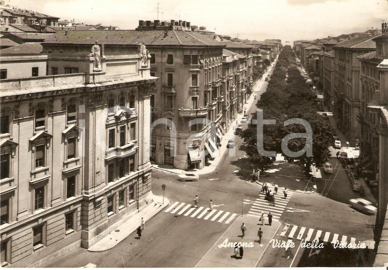 1962 ANCONA Pedoni attraversano Viale della Vittoria *Cartolina FG VG