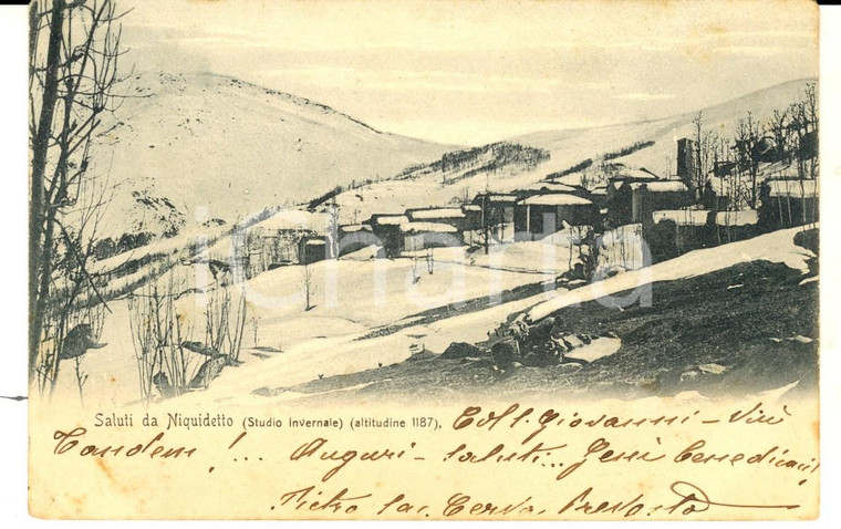 1908 NIQUIDETTO / VIU' (TO) Paesaggio invernale *Cartolina don Pietro CERVO FP