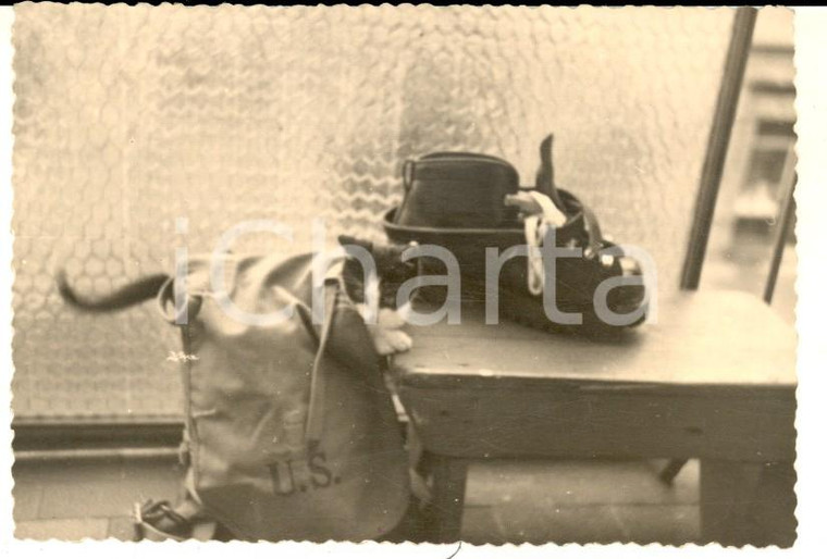 1950 ca AREA LOMBARDA Un gatto nello zaino dell'esercito USA *Foto CURIOSA 8x10