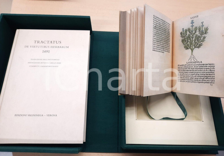 2008 Tractatus de virtutibus herbarum 1491 - 2 voll. ed. VALDONEGA VERONA