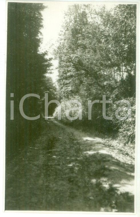 1931 NOVI LIGURE (AL) - Sentiero campestre - Foto cartolina VINTAGE