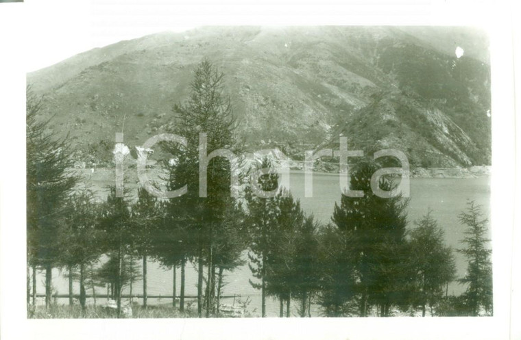 1931 APPENNINO LIGURE Foresta di conifere lungo le sponde dei laghi del GORZENTE