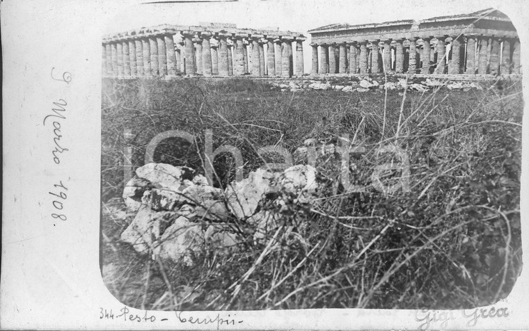 1908 PAESTUM Veduta dei templi ** Fotocartolina
