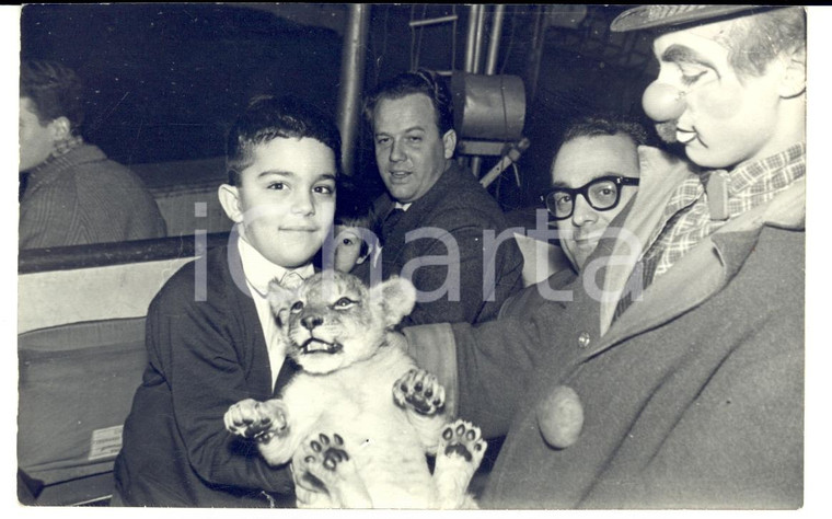 1958 MILANO CIRCO TOGNI Bambino con un cucciolo di leone *Foto VINTAGE (2)