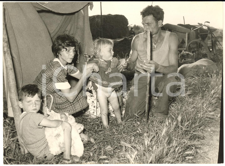 1957 ALLUVIONE POLESINE Famiglia di sfollati sotto una tenda - Foto 18x13