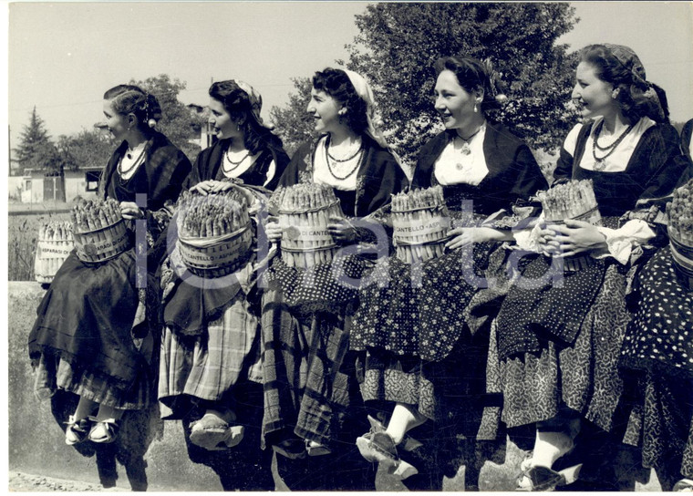 1955 ca CANTELLO Sagra degli asparagi - Donne in costume tradizionale - Foto 