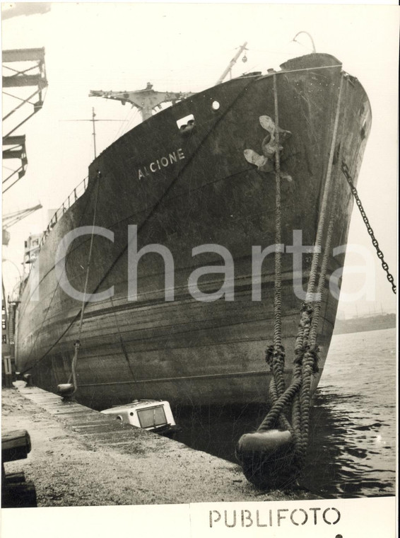 1954 GENOVA La corvetta ALCIONE al rientro dall'Oceano Indiano *Foto 13x18 cm