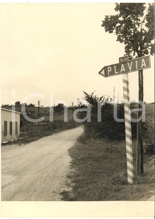 1954 PLAVIA Paese deserto dopo il passaggio alla Jugoslavia *Foto 13x18 cm